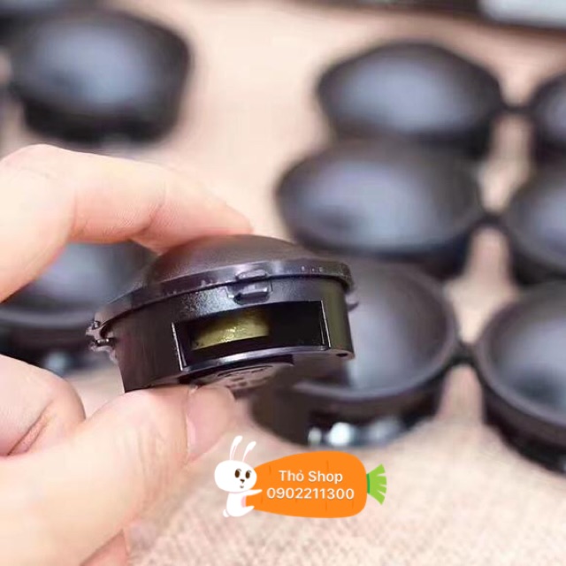 Thuốc diệt gián Nhật Bản
