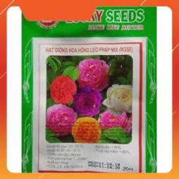 HẠT GIỐNG HOA HỒNG LEO PHÁP LUCKY SEEDS GÓI 20 HẠT
