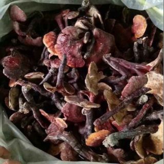 Sỉ toàn quốc giá rẻ nấm lim xanh 100g - 200g - 300g