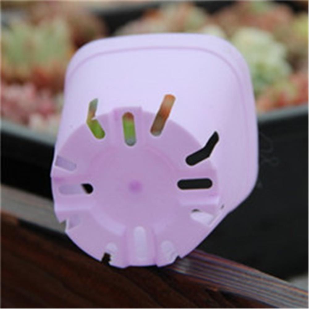 Set 1 / 10 Chậu Hoa Mini Màu Sắc Ngẫu Nhiên