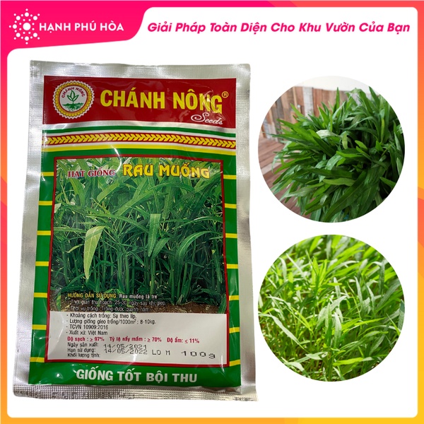 Hạt Giống Rau Muống Cao Sản Chánh Nông 100g/Gói- Cây Sinh Trưởng Mạnh, Kháng Bệnh Tốt, Đồng Đều, Ăn Ngon Ngot