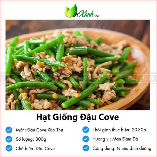 Hạt giống đậu cove - NGUYÊN GÓI hàng công ty tuyển chọn kháng bệnh sống khỏe