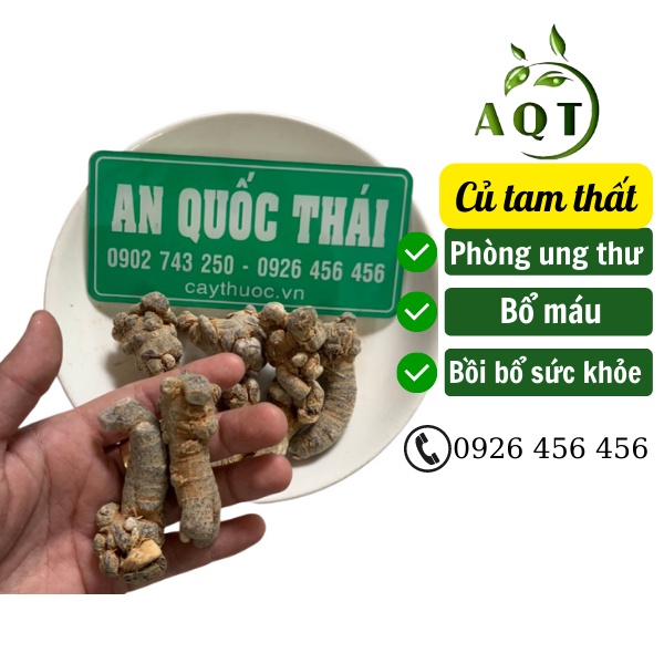 Củ Tam Thất Bắc 500g (Chuẩn Rừng) Loại 50, 60, 70 Củ/kg, Tam Thất Bắc Hà Giang Loại 1, Đều, Đẹp