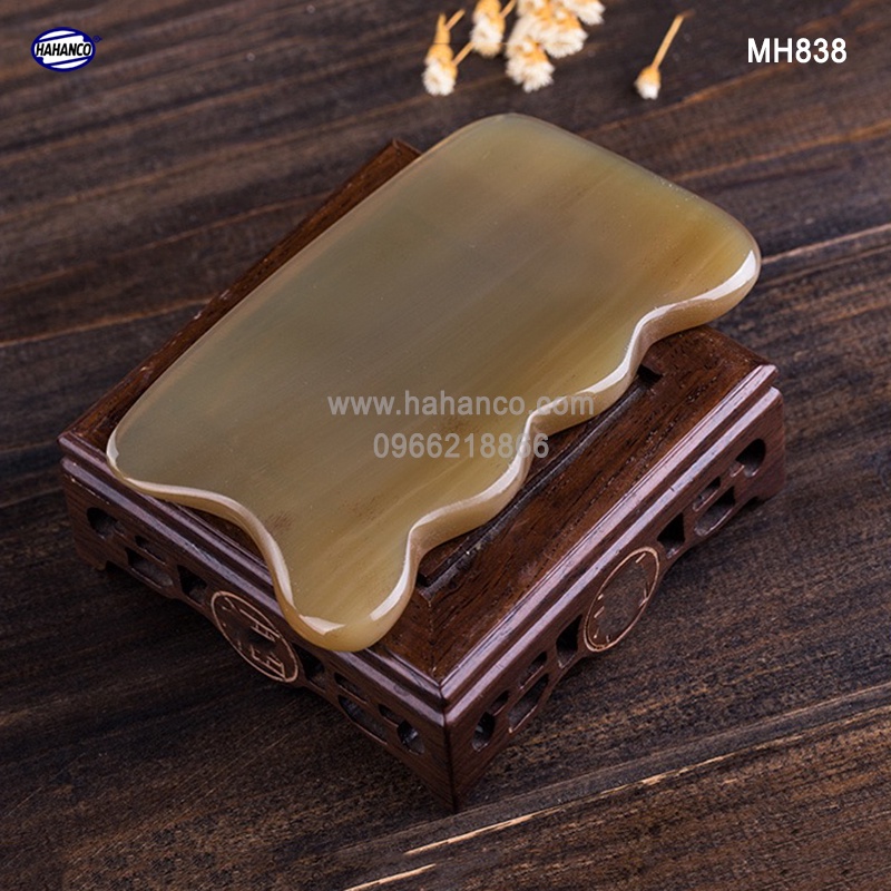 Dụng cụ cạo gió bằng sừng - Massage toàn thân làm đẹp da - MH838 - Hahanco