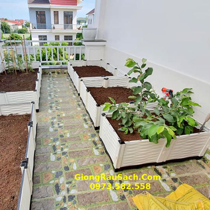 Chậu Khay Ghép Trồng rau sạch trồng Cây Thông Minh Dài 250*100*39cm thêm 4 Vách phụ và 2 Trụ Cứng Cáp Hơn