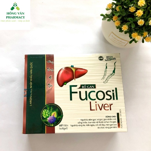 Viên uống bổ gan Fucosil Liver, hỗ trợ giải độc gan, làm mát, hạ men gan, tăng cường chức năng gan