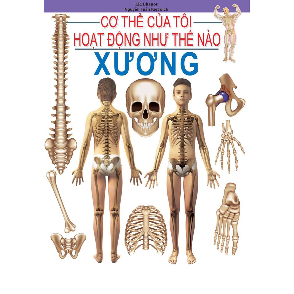 Sách - Cơ Thể Của Tôi Hoạt Động Như Thế Nào (Trọn Bộ 25 Tập)
