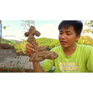 Khúc Khắc khô Bắc Giang loại đẹp