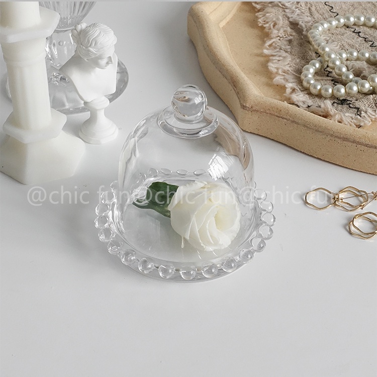 Đĩa thuỷ tinh kèm nắp đậy hình chuông phong cách Hàn Quốc