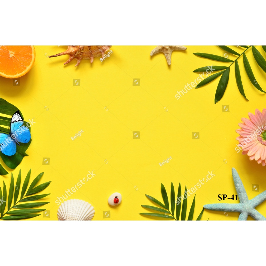 Phông Nền Chụp Ảnh Sản Phẩm Thời Trang Quần Áo Summer 5D-Bảo Hành Trọn Đời Mực In