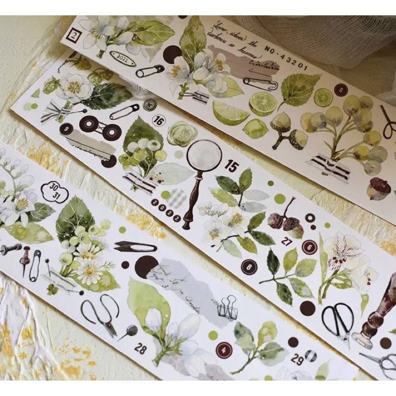 5 mẫu băng dính PET tape hoạ tiết hoa cổ điển nhà WILDBERRY.LAB