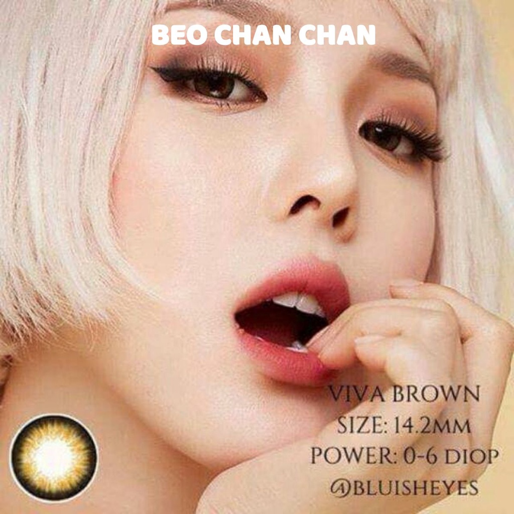 Lens Vassen Hàn Quốc_Viva Brown