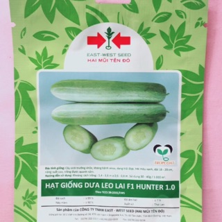 HẠT GIỐNG DƯA LEO HUNTER GÓI 300 HẠT