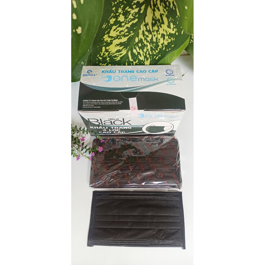Khẩu trang đen Thái Tường | BigBuy360 - bigbuy360.vn