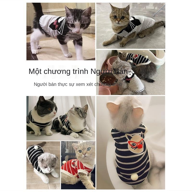 quần áo mèo mùa hè British short blue cat pet kitten thin vest kitty không tay chống rụng lông