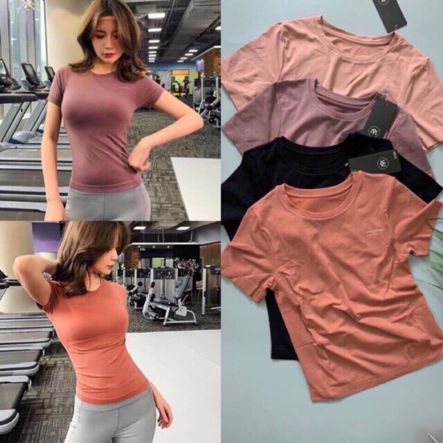 Áo cộc tay viền cổ trắng thun gân co giãn tốt tập gym yoga nữ