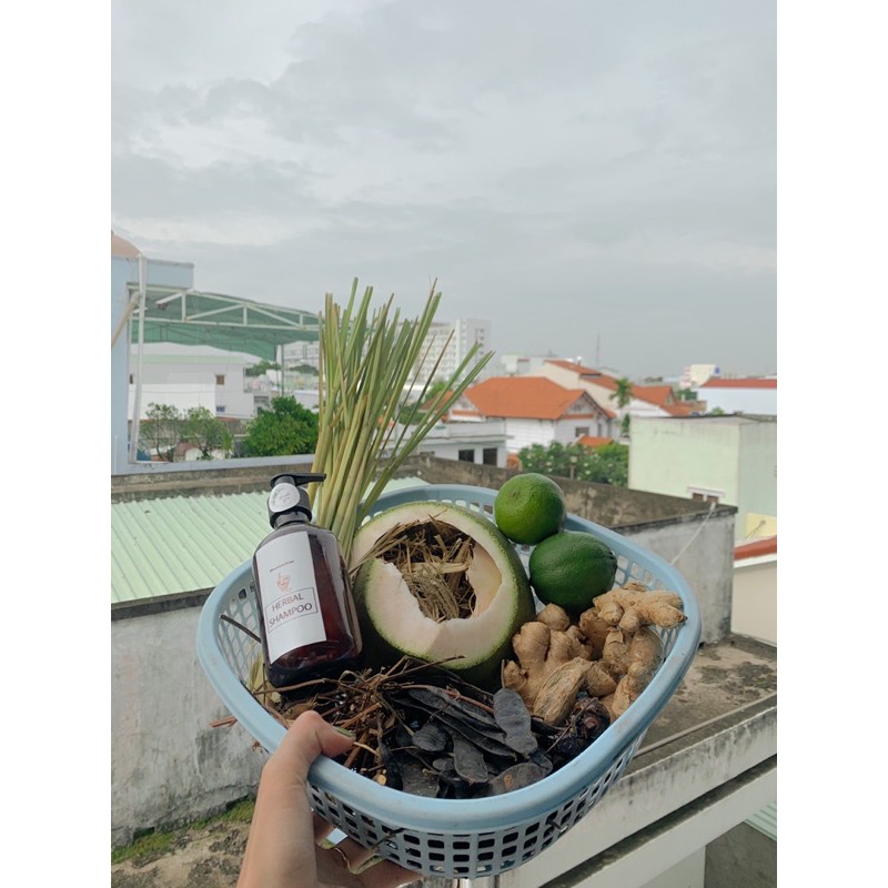Dầu gội thảo dược Bồ Kết hỗ trợ mọc tóc giảm rụng - HERBAL SHAMPOO @beautywithHan | BigBuy360 - bigbuy360.vn