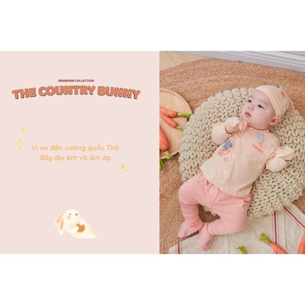 Bộ sơ sinh cài thẳng siêu xinh họa tiết thỏ cho bé