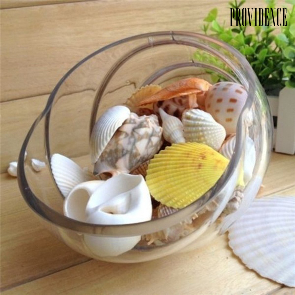 1 Túi 100g Vỏ Sò Sao Biển Dùng Để Trang Trí Bể Cá / Tiểu Cảnh