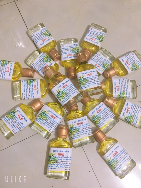 Sỉ Tinh dầu tràm Huế 100ml nguyên chất