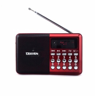 Loa nghe nhạc, đài fm craven cr-16