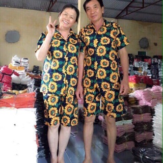 Combo 21 bộ hướng dương