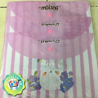 Bìa hồ sơ a4 molang