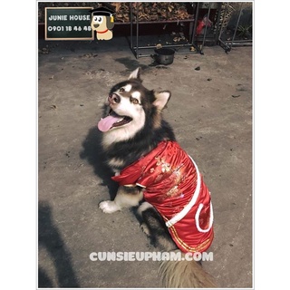 Áo Tết cho chó lớn