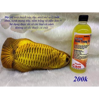 Chế phẩm loại bỏ xuất huyết, đục mắt cho cá cảnh