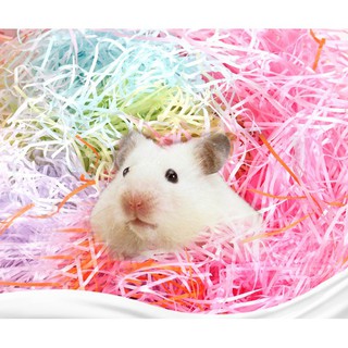 Giấy lót chuồng làm ổ cho hamster - Túi 100g