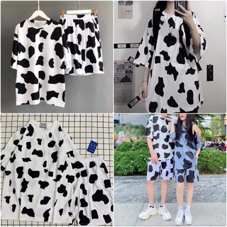 QUẦN ĐÙI BÒ SỮA CUTE hs