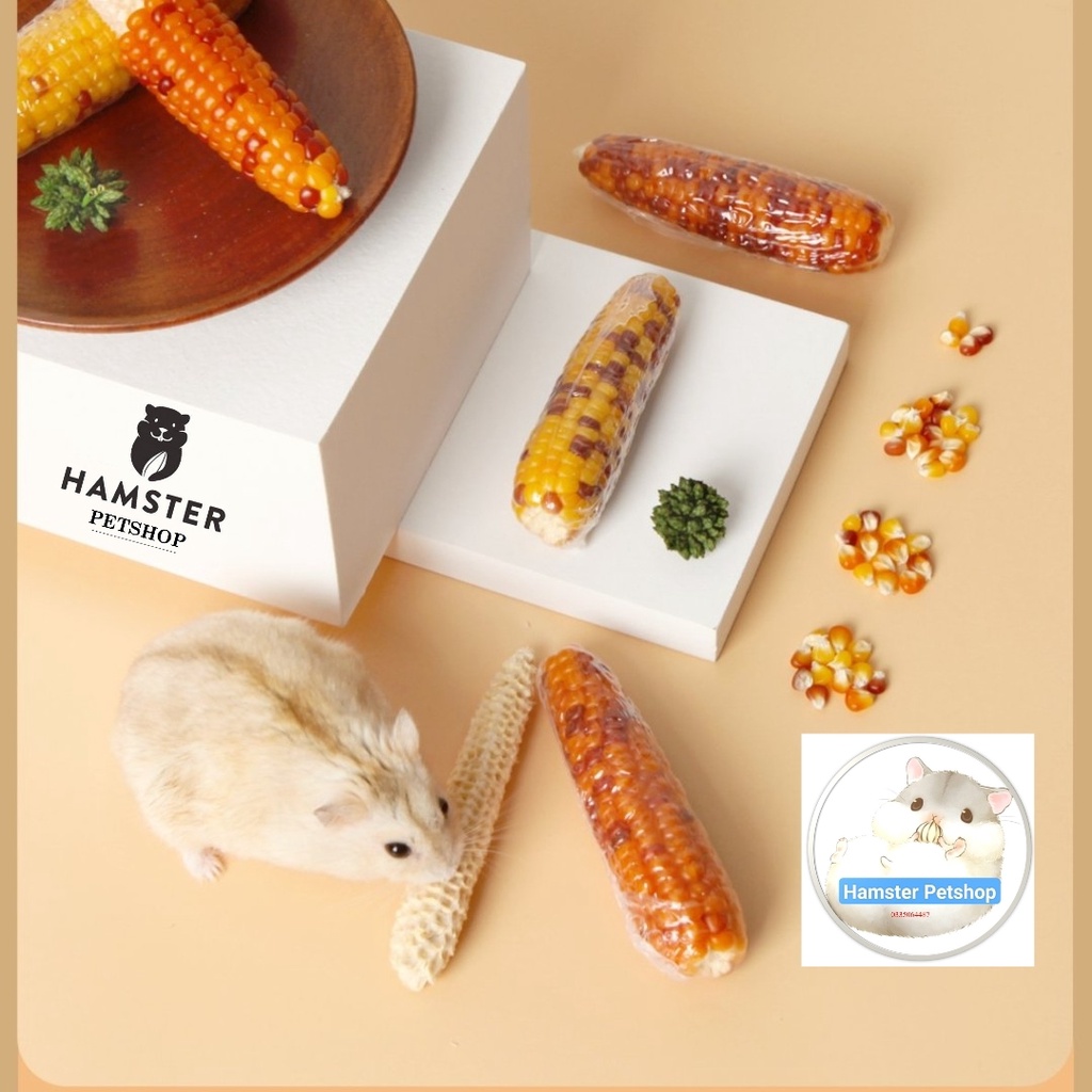 Bắp/Ngô sấy khô nguyên quả ăn dặm kiêm mài răng cho Hamster, Thỏ, Bọ, Sóc, Chó...