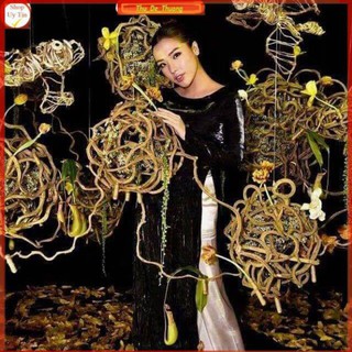 Dây rừng tự nhiên- sợi to