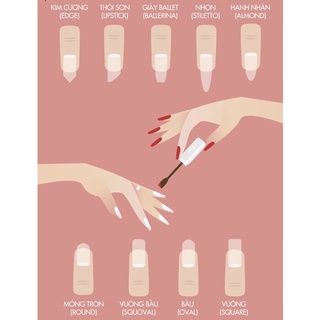 Nail box móng tay giả thiết kế