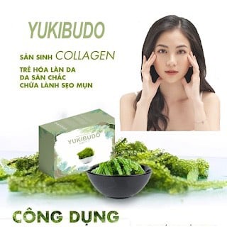 [Mới Nhất] Rong nho yukibudo chính hãng mới nhất tặng kèm sốt mè rang kewpie, dinh dưỡng, đẹp da, dáng xinh, eo thon | BigBuy360 - bigbuy360.vn