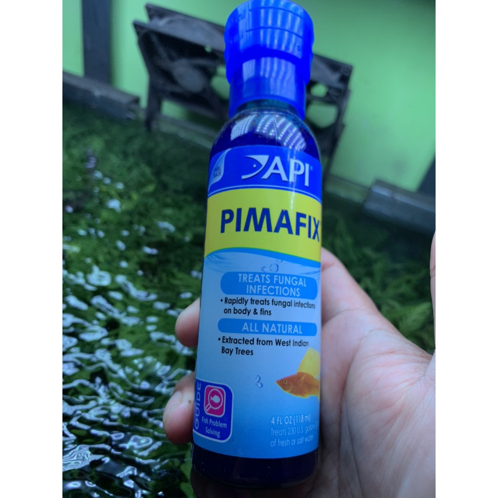 Dung Dịch Diệt Nấm API Pimafix Cho Cá Tép