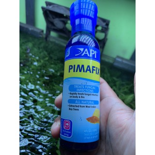 Dung dịch diệt nấm api pimafix cho cá tép