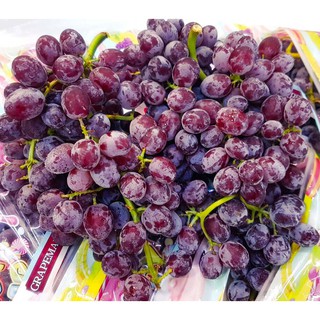 CÂY GIỐNG NHO KẸO NGỌT MỸ DÒNG QUẢ SỚM, CAM KẾT GIỐNG CHUẨN F1