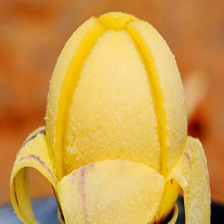 Hạt giống dưa pepino