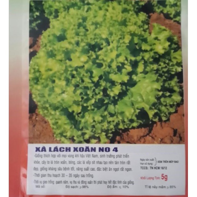 HẠT GIỐNG XÀ LÁCH XOĂN - GÓI 5 GRAM