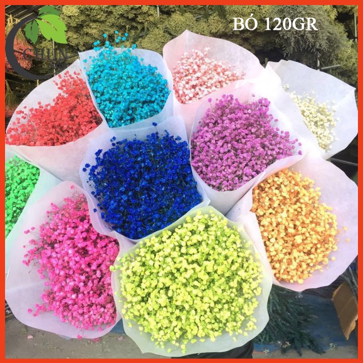 Hoa giả, bó hoa baby khô 20gr, 60gr trang trí nhà cửa, cửa hàng, làm đồ handmade