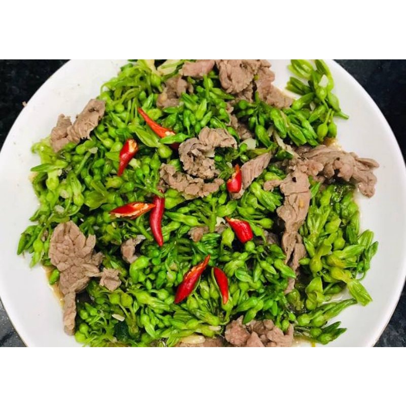 Cây Bông Thiên Lý