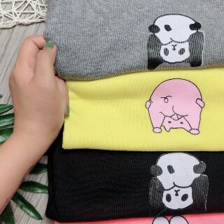 combo 3 áo cotton len