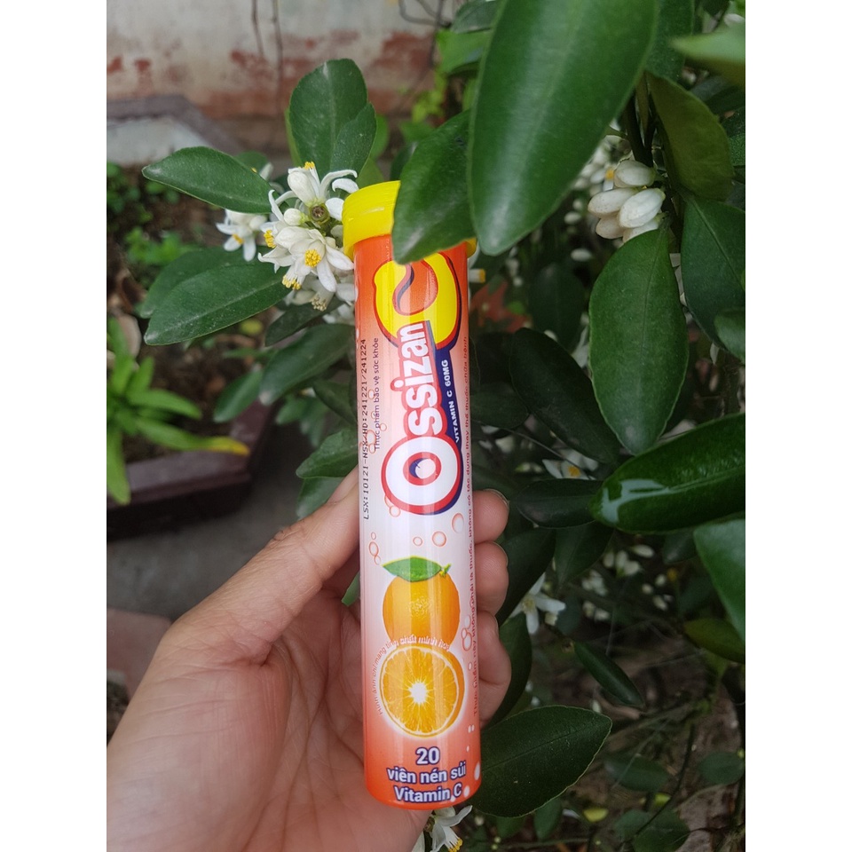 C sủi Doremi ( dành cho trẻ em - Vị ngon Bò Húc)