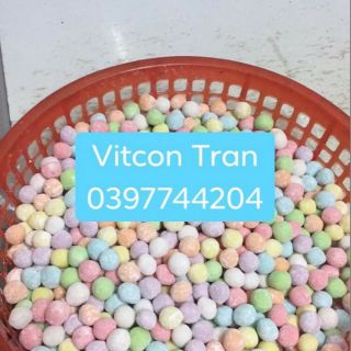 ( chỉ giao HCM ) Trân châu củ năng đủ màu 1kg