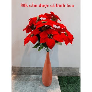 Chùm hoa vải trạng nguyên