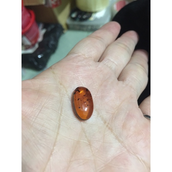 Hai viên hổ phách si tuyển Nhật