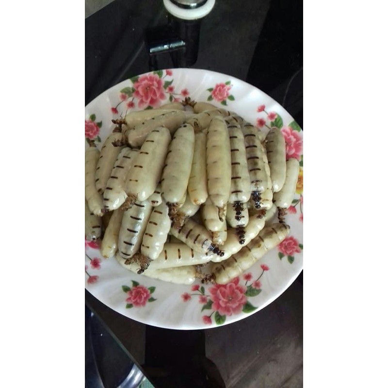 MỐI CHÚA RỪNG  1 hộp 10con🌹🌹