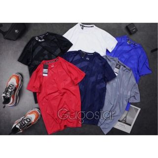 Combo 10 áo phông thể thao nam
