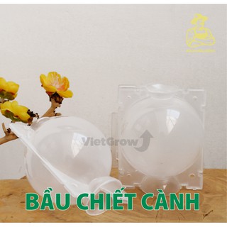 Combo 3 Bầu chiết cành Croco - Ghép Giống Rễ Cây Nhân Giống Có Thể Tái Sử Dụng Bằng Nhựa Màu Trong Suốt
